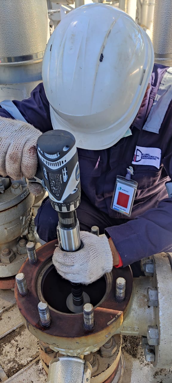Safety valve overhaul for power generation facilities